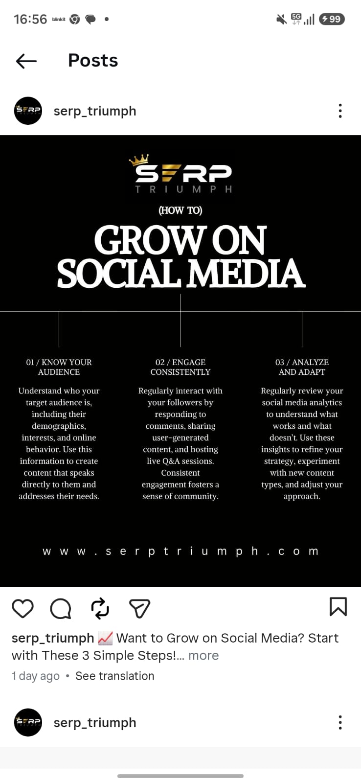 SERP Triumph Growth Strategy Campaign