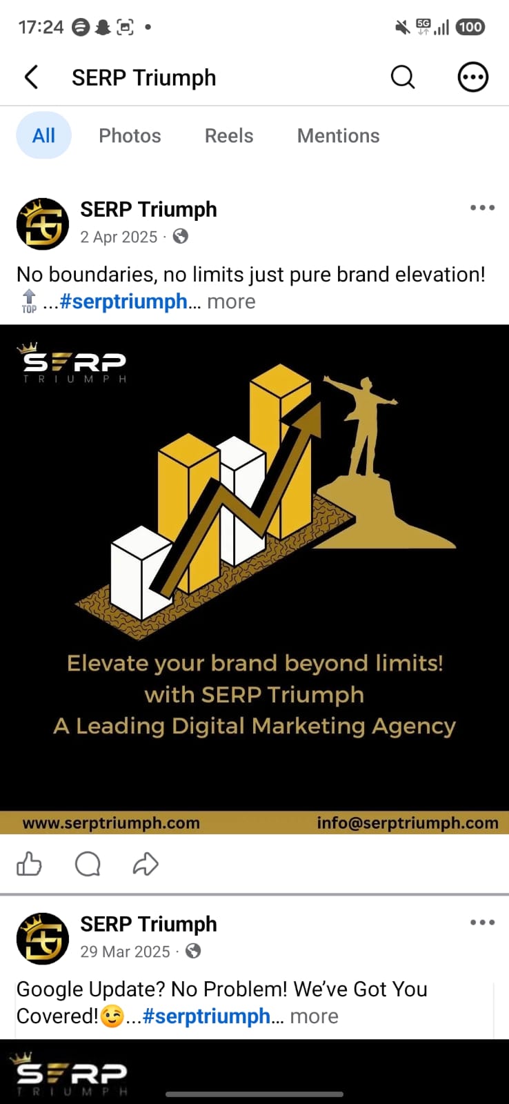 SERP Triumph Facebook Campaign Business Strategy